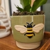 Vaso Cachepot Cerâmica Verde Honey Bee Abelha 12X13,3X14,3Cm