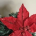 Flor De Natal Em Tecido Poinsetia Vermelha Brilho 25Cm